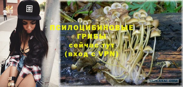 мдпв Арсеньев