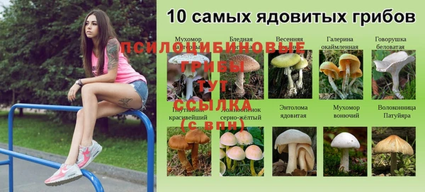 дживик Армянск
