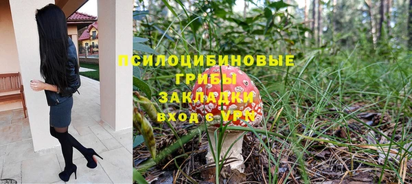 мдпв Арсеньев
